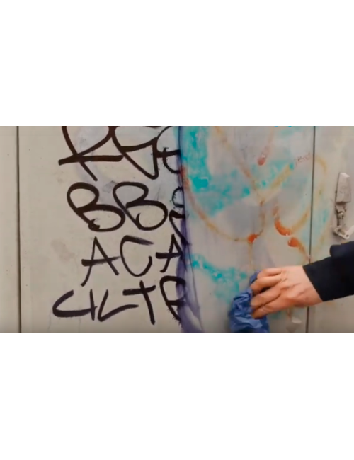 Limpiador Graffiti para Superficies Lisas Belcare